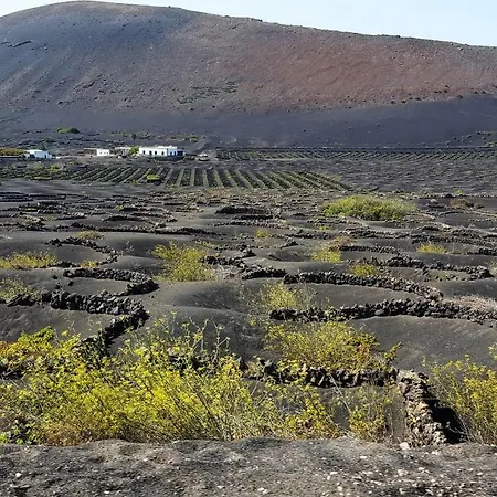 Loft Lucky Apartment *