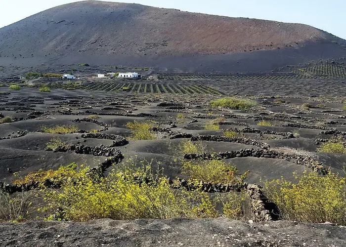 Loft Lucky Apartment *